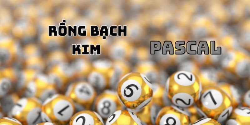Dàn Đề Rồng Bạch Kim - Bỏ Túi Bí Quyết Kiếm Tiền Tỷ Liền Tay 3 Tạo dàn đề rồng bạch kim theo Pascal trở nên nổi tiếng